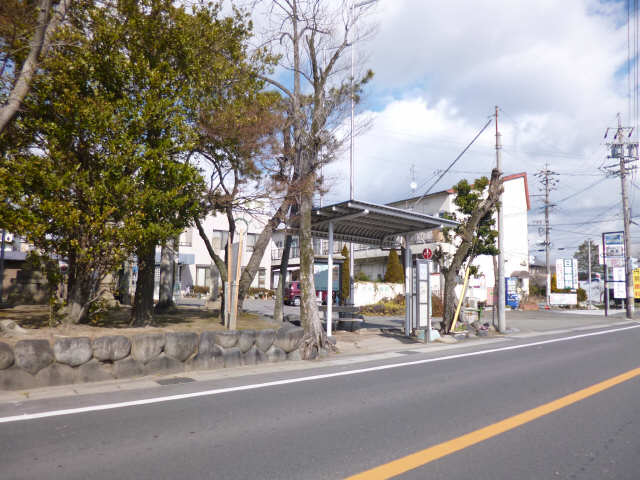 東条バス停