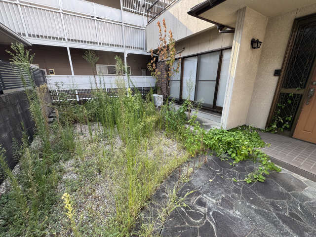 庭