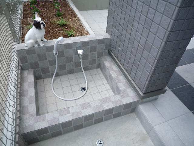 ペット足洗い場