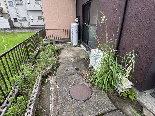 庭