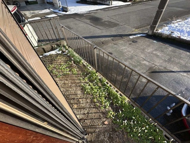 庭