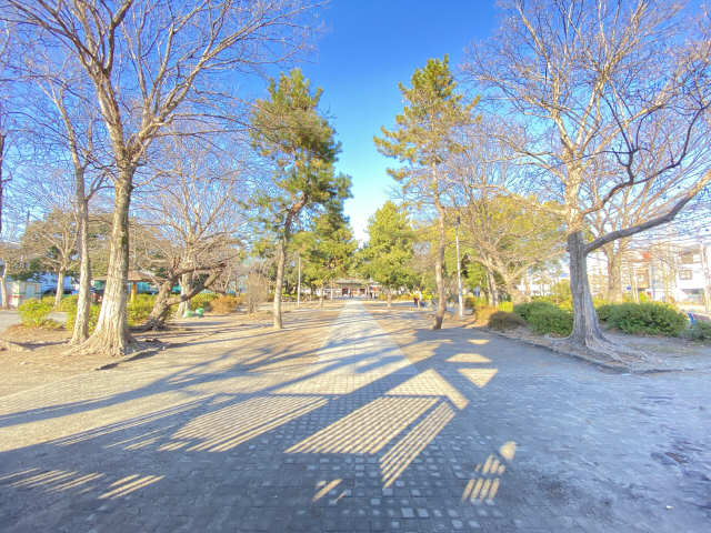 近隣公園