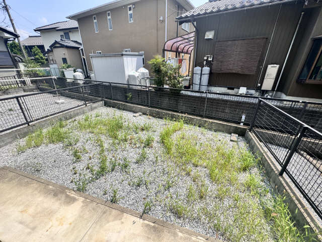 庭