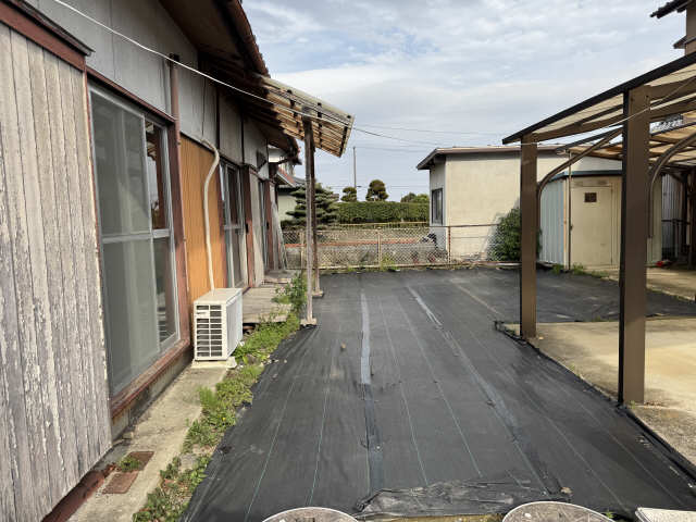 庭