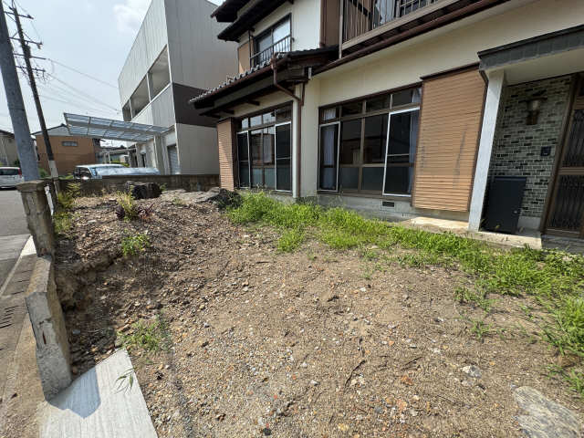 庭