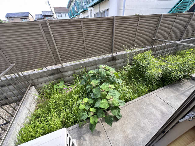 庭