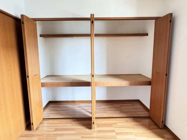 収納（２階南洋室）