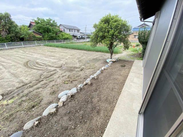 庭