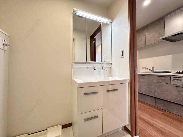 シャワー付洗面台