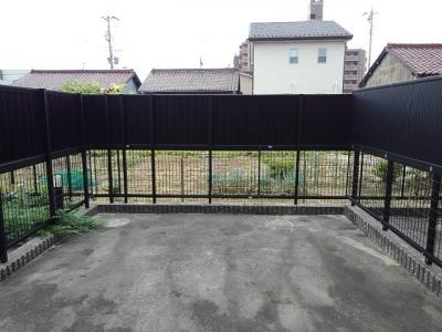 庭