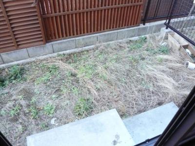 庭
