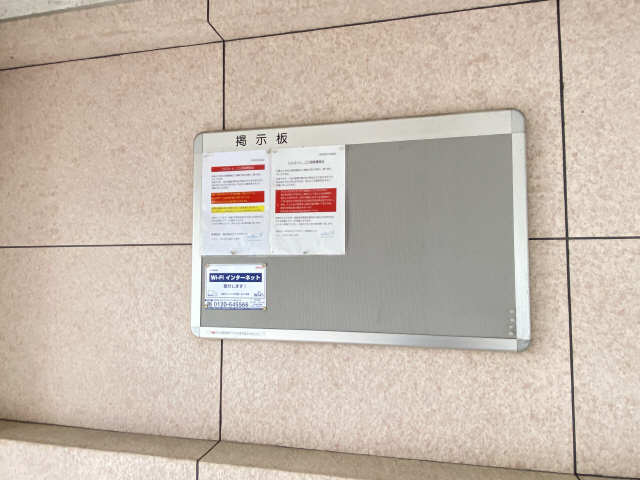 掲示板