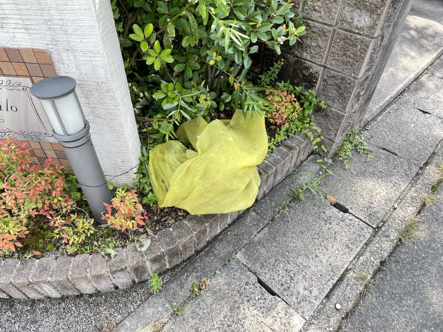 ゴミ置き場