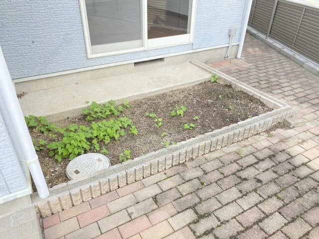 庭