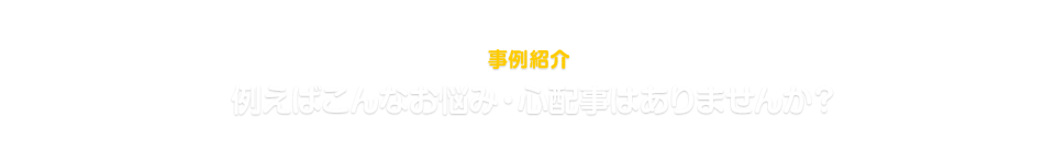 ニッショーシニアライフサポートの事例紹介。例えばこんなお悩み・心配事はありませんか？