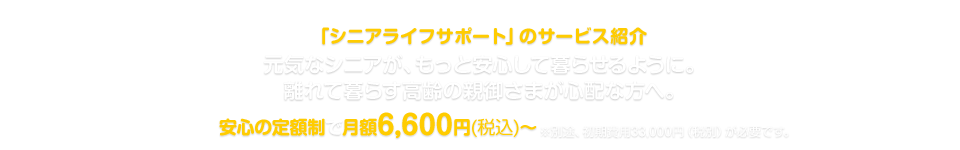 「シニアライフサポート」のサービス紹介　元気なシニアが、もっと安心して暮らせるように。離れて暮らす高齢の親御さまが心配な方へ。安心の定額制で月額6,600円（税込）～※別途、初期費用33,000円（税込）が必要です。