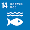 SDGs｜目標14 海の豊かさを守ろう